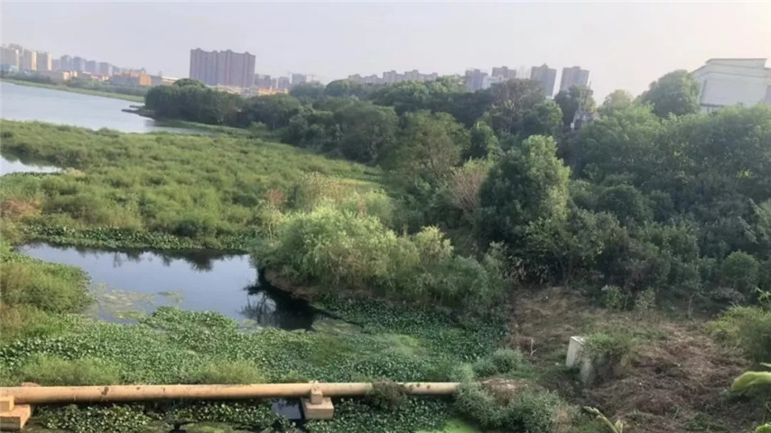 工匠九州jiuzhou（中国）召开黄家湖上湖湖体综合整治工程现场调度会