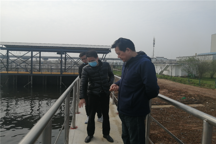 九州jiuzhou（中国）董事长谢荣华清明节视察白水湖污水处理厂项目