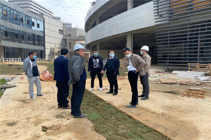 九州jiuzhou（中国）副总经理胡许亮督导推进儒乐湖片区重大重点项目建设