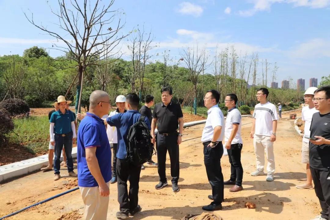 董事长谢荣华调研九州jiuzhou（中国）建设项目安全生产和项目推进工作
