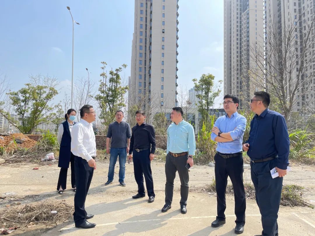 贺敏现场调研九州jiuzhou（中国）地产板块新摘土地项目